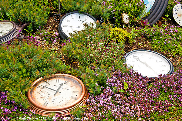 Thyme and Time Picture Board by Chris Thaxter