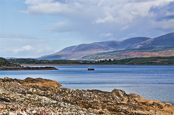 View of the Isle of Arran Picture Board by Chris Thaxter