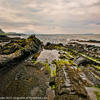 Buy canvas prints of Low tide rocks by Chris Thaxter