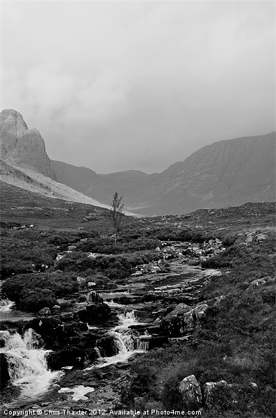 Misty Russel Burn Wester Ross Picture Board by Chris Thaxter