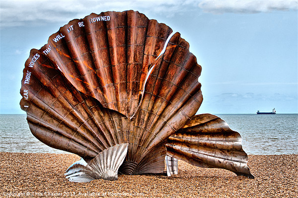 The Resilient Scallop Shell Picture Board by Chris Thaxter