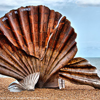 Buy canvas prints of The Resilient Scallop Shell by Chris Thaxter