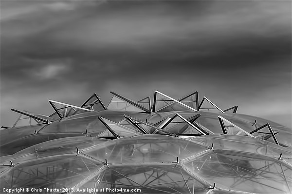 Eden Project Roof 2 Black and White Picture Board by Chris Thaxter