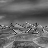 Buy canvas prints of Eden Project Roof 2 Black and White by Chris Thaxter