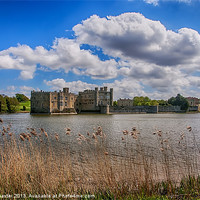 Buy canvas prints of Leeds Castle Moat by Chris Thaxter