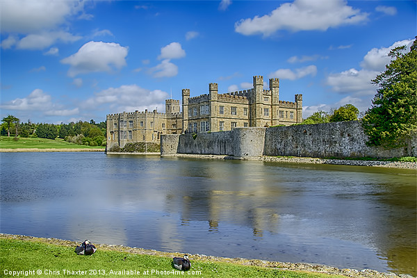 Leeds Castle Moat 2 Picture Board by Chris Thaxter