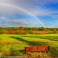 Buy canvas prints of Rainbow Bench view by Chris Thaxter