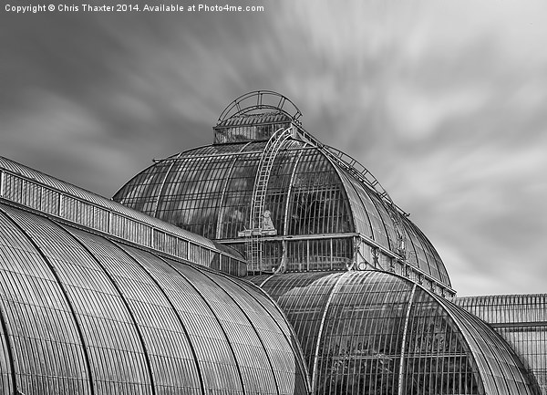 Temperate House Kew Gardens Black and White Picture Board by Chris Thaxter