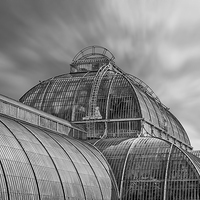 Buy canvas prints of Temperate House Kew Gardens Black and White by Chris Thaxter