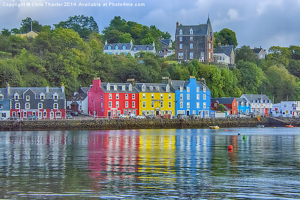  Tobermory Isle of Mull Picture Board by Chris Thaxter