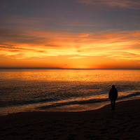 Buy canvas prints of  Watching the Sunset by Chris Thaxter