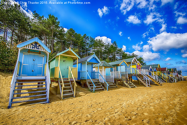  Coloured Beach Huts 2 Picture Board by Chris Thaxter
