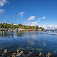 Buy canvas prints of  Colourful Tobermory 2 by Chris Thaxter