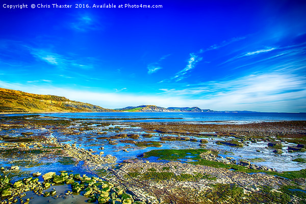 Low Tide at Lyme Regis Picture Board by Chris Thaxter