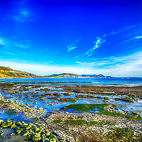 Buy canvas prints of Low Tide at Lyme Regis by Chris Thaxter