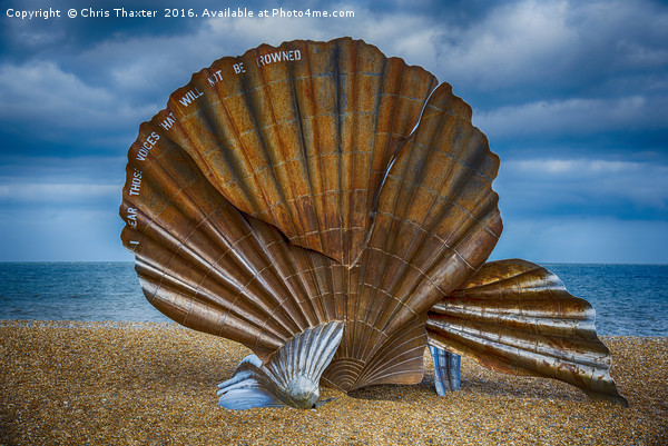 Aldeburgh Scallop Shell Picture Board by Chris Thaxter