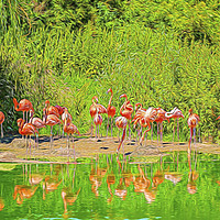Buy canvas prints of Pretty Flamingos by Chris Thaxter