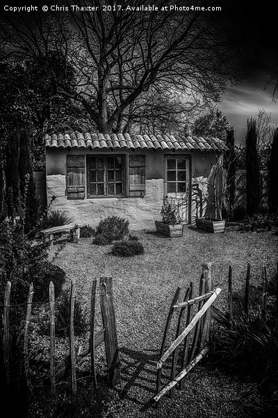 Le Jardin de Vincent Picture Board by Chris Thaxter