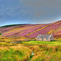 Buy canvas prints of Abandoned Cottage by Chris Thaxter