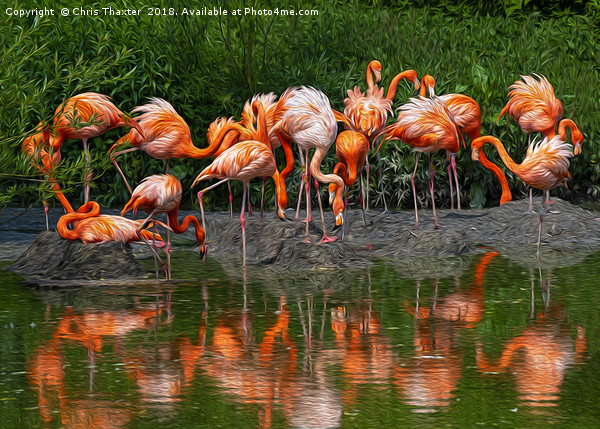 A Flamboyance of Flamingos Picture Board by Chris Thaxter