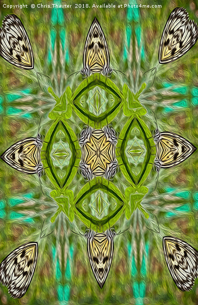 Tree Nymph kaleidoscope Picture Board by Chris Thaxter