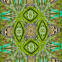 Buy canvas prints of Tree Nymph kaleidoscope by Chris Thaxter