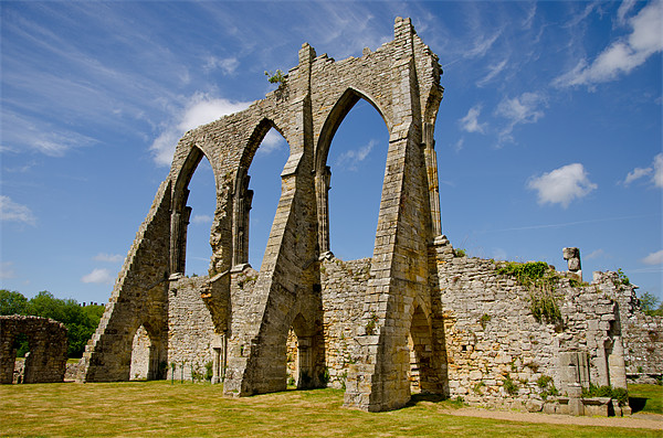 Bayham Abbey Ruins Picture Board by Chris Thaxter