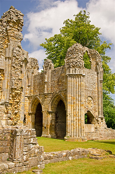 Bayham Abbey North transept Picture Board by Chris Thaxter