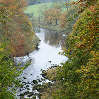 Buy canvas prints of Th River Wharfe by Mark Hobson