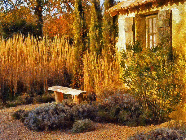 Le Jardin de Vincent 2 Picture Board by Bel Menpes