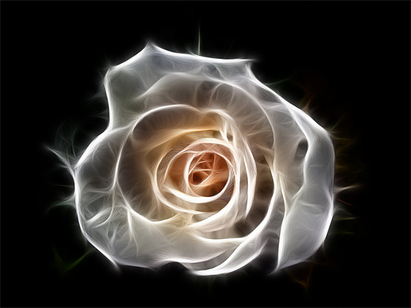 Rose of Light Picture Board by Bel Menpes