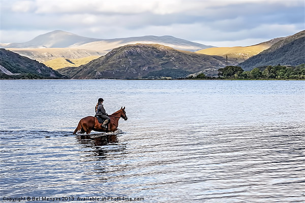 Horse at Airds Bay Loch Etive Picture Board by Bel Menpes