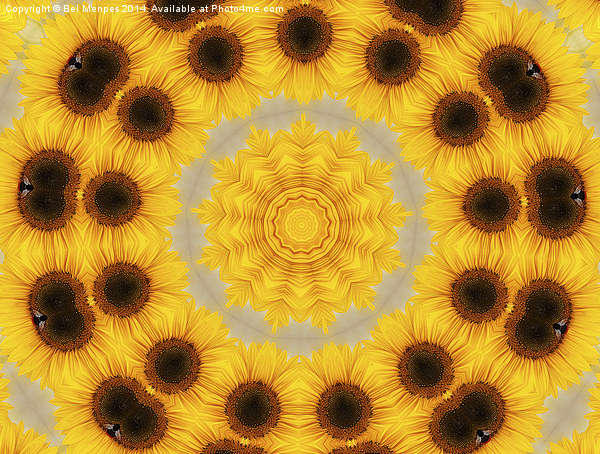Sunflower Abstract Picture Board by Bel Menpes