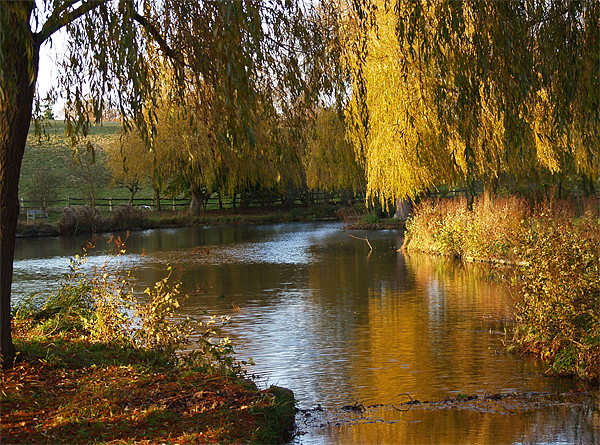 River Len in Autumn Picture Board by Bel Menpes