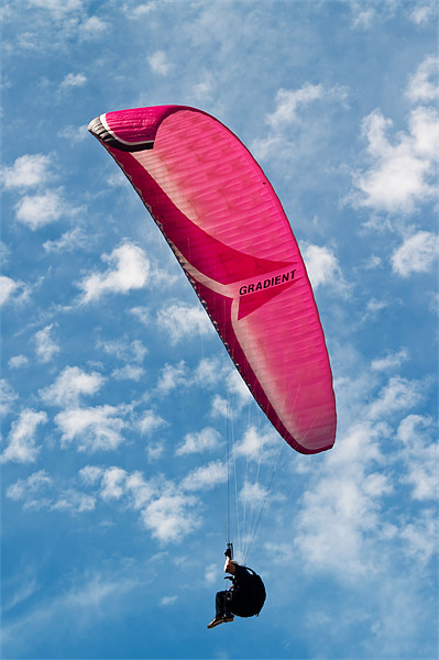 Red Canopy Paraglider Picture Board by Bel Menpes