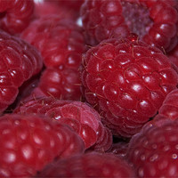 Buy canvas prints of Raspberry cluster by Elaine Young