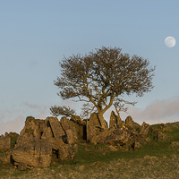 Buy canvas prints of Roystone Rocks Tree and Moon by James Grant