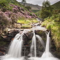 Buy canvas prints of  Fairbrook Naze by James Grant