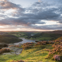 Buy canvas prints of  Bamford Edge Heather by James Grant