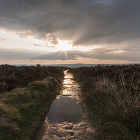 Buy canvas prints of  Golden Path Sunset by James Grant