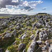 Buy canvas prints of  Limestone Pavement by James Grant