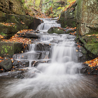Buy canvas prints of  Lovely Lumsdale by James Grant