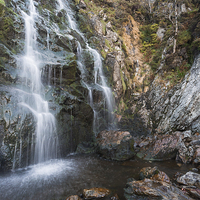 Buy canvas prints of  Moss Force by James Grant