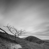 Buy canvas prints of  Rushup Edge by James Grant