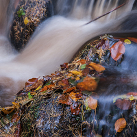 Buy canvas prints of  Wyming Brook Abstract by James Grant