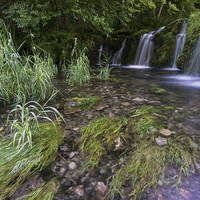 Buy canvas prints of  Lathkill Dale Weir by James Grant