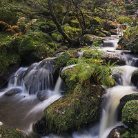 Buy canvas prints of  Wyming Brook by James Grant