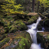 Buy canvas prints of  Wyming Brook by James Grant