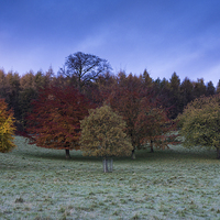 Buy canvas prints of  Chatsworth Houser Autumn Trees by James Grant