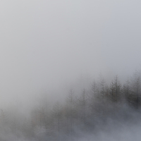 Buy canvas prints of  Mam Tor Misty Trees by James Grant